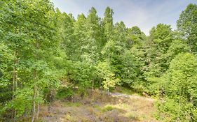 Brysons Hidden Valley Ranch - Quiet Nc Cabin!